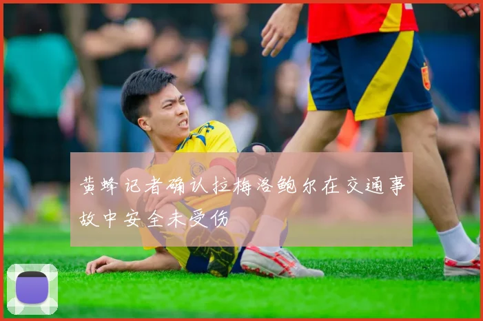 黄蜂记者确认拉梅洛鲍尔在交通事故中安全未受伤