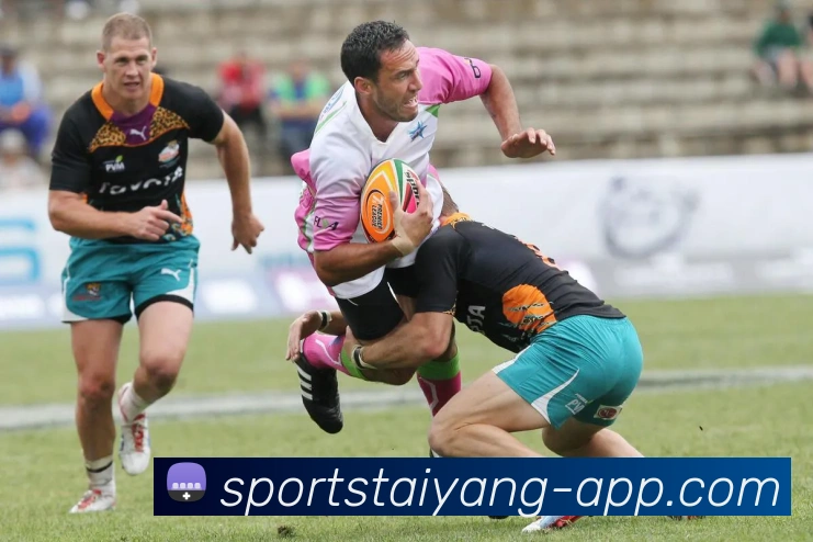 太阳城平台生态图