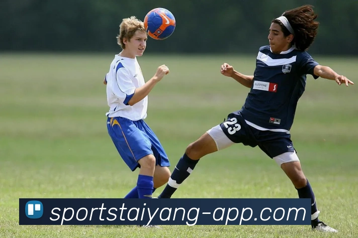 太阳城APP 封面图